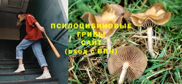 a pvp Наволоки